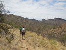 photo thumbnail #10