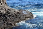 photo thumbnail #11