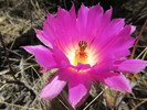 photo thumbnail #8