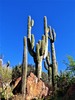 photo thumbnail #8