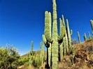 photo thumbnail #12