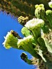 photo thumbnail #15
