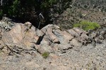 photo thumbnail #2
