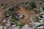 photo thumbnail #13