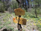 photo thumbnail #3