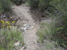 photo thumbnail #12