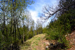 photo thumbnail #7