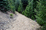 photo thumbnail #8