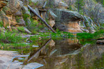 photo thumbnail #2