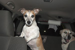 photo thumbnail #1