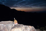 photo thumbnail #2
