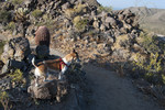 photo thumbnail #9