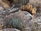 photo thumbnail #9