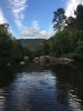 2017-05-15 :2: Wilson Mountain Trail #10 :: MountainMatt