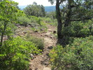 photo thumbnail #2