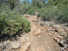 photo thumbnail #3