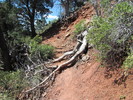 photo thumbnail #6