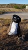 photo thumbnail #8