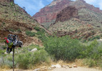 photo thumbnail #8