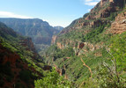photo thumbnail #10