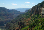 photo thumbnail #11