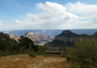 photo thumbnail #12