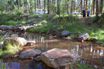 photo thumbnail #5