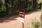 photo thumbnail #14