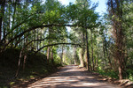 photo thumbnail #12