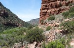 photo thumbnail #4