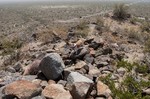 photo thumbnail #1