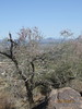 2017-05-18 :2: Hidden Valley via Mormon Trail :: SaguaroToSomo