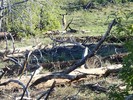 photo thumbnail #6
