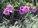 photo thumbnail #14