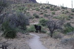 photo thumbnail #7
