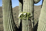 photo thumbnail #11
