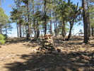 photo thumbnail #9