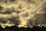 photo thumbnail #15