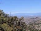 photo thumbnail #9