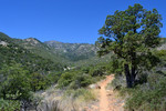 photo thumbnail #3
