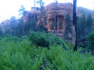 photo thumbnail #5