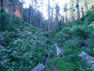 photo thumbnail #12