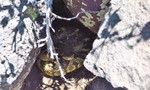 photo thumbnail #13