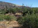 photo thumbnail #4