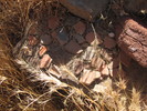 photo thumbnail #6