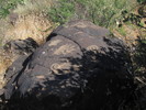 photo thumbnail #11