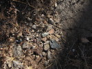 photo thumbnail #12
