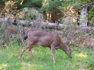 photo thumbnail #3