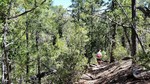 photo thumbnail #6