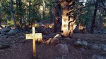 photo thumbnail #14